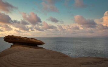 Trading có thể trở thành một nghề hay không? trading-co-duoc-coi-la-mot-nghe-khong